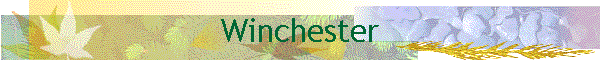 Winchester