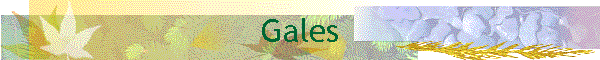 Gales